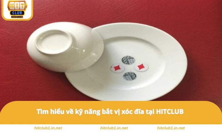 Cách Bắt Vị Xóc Đĩa - Kỹ Năng Dự Đoán Kết Quả Chuẩn Xác 1 Tìm hiểu về kỹ năng bắt vị xóc đĩa tại HITCLUB