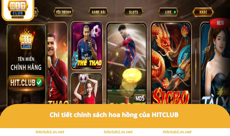 Chi tiết chính sách hoa hồng của HITCLUB