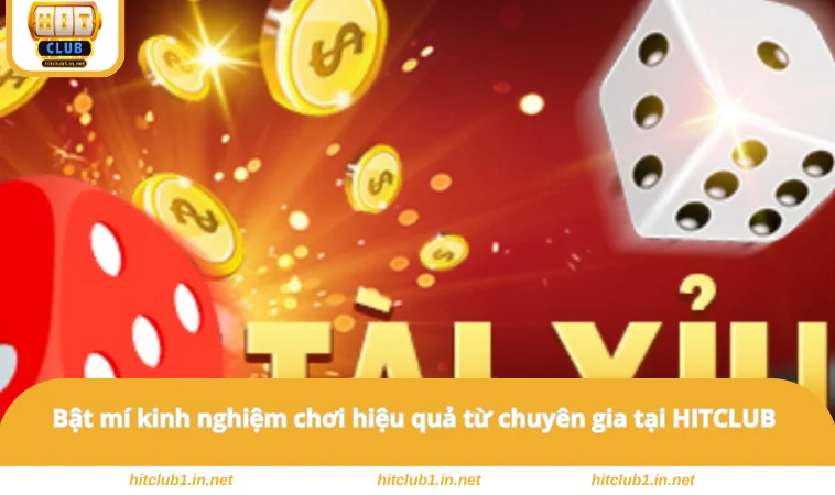 Bật mí kinh nghiệm chơi hiệu quả từ chuyên gia tại HITCLUB